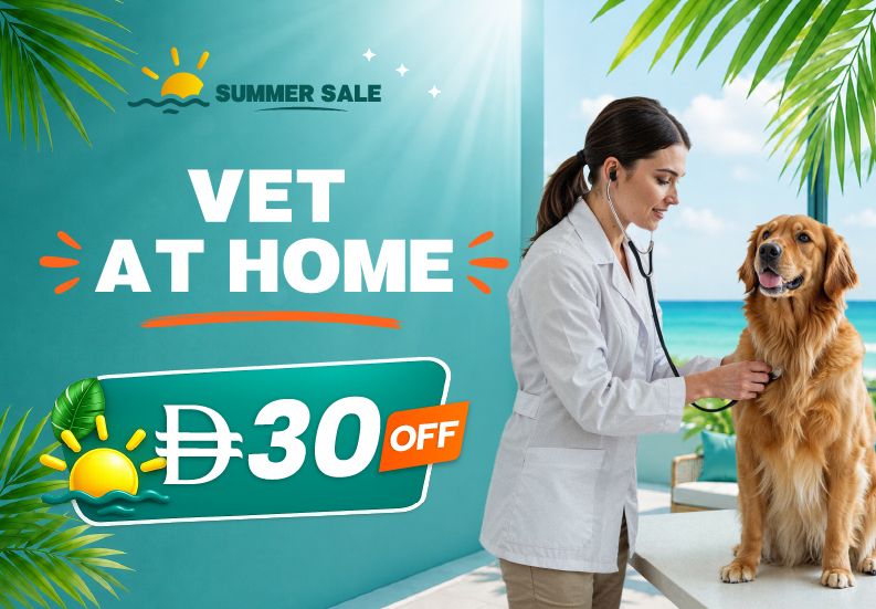 Vet at Home