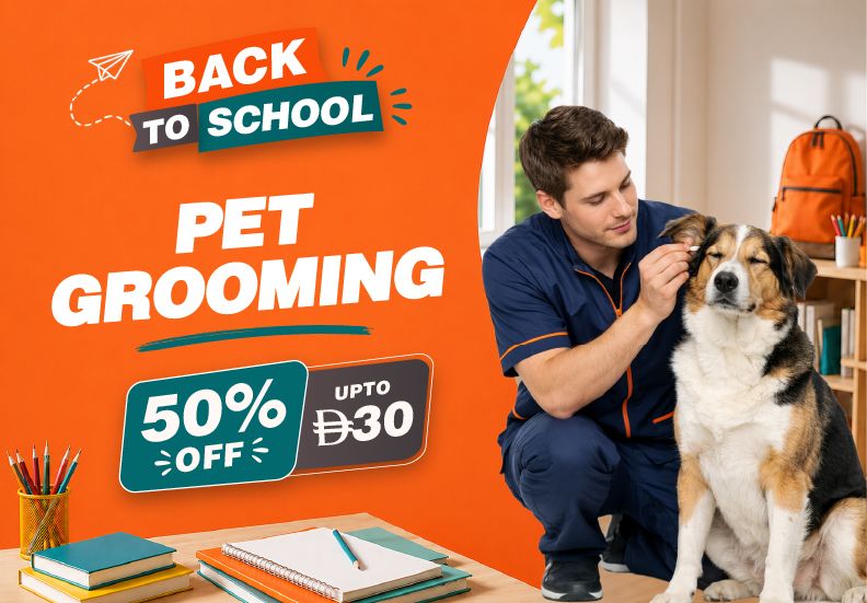Pet Grooming