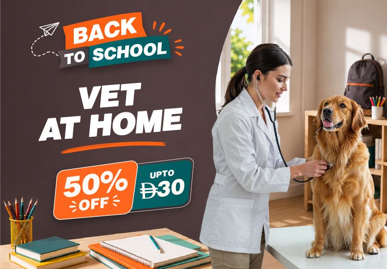 Vet at Home